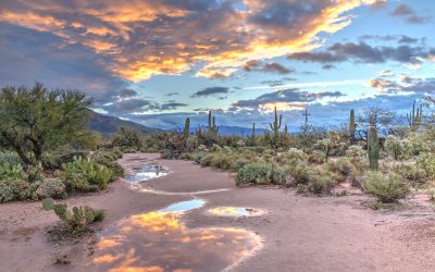 August Update: 5 Tips for Today’s Arizona Real Estate Market